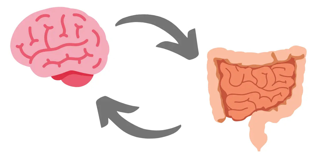 The Gut-Brain Axis and Racism: How Racism Affects Melanated People’s Mental Health through Gut Microbiome Dysbiosis