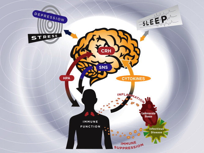 Psychological Processes and the Pathophysiology of Dis-ease
